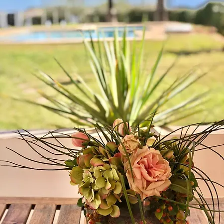 Διαμέρισμα Charming Oceanfront *